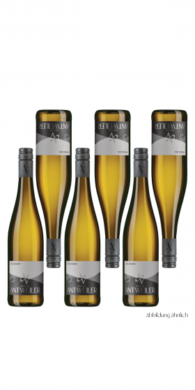 Weinpaket - Jahrgangsvergleich<br>Silvaner, Riesling, Spätburgunder je 2x